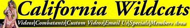 File:CW-Banner.jpg
