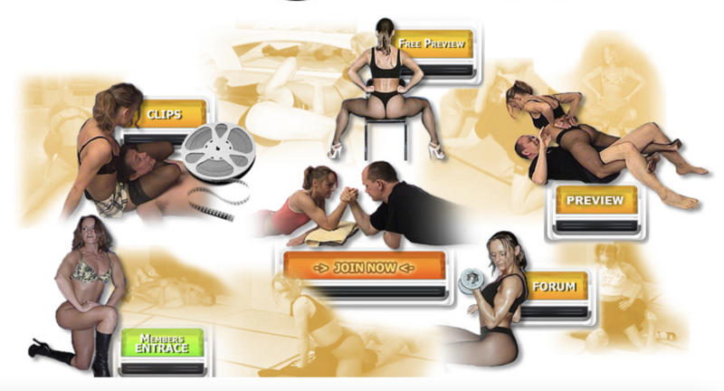 File:2008 FWmenu.png