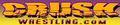 Thumbnail for version as of 11:49, 5 January 2016