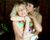 TPC Louise-Stacey05.jpg