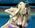ToniT-Jennifer2.jpg
