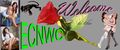 Thumbnail for version as of 16:09, 30 September 2020