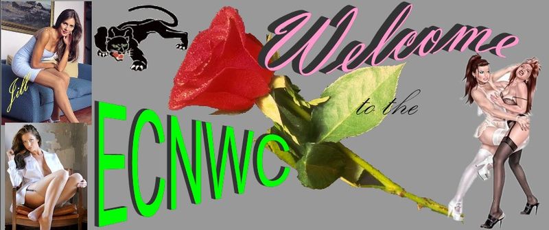 File:ECNWC Logo.jpg
