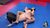 Laraverse30.jpg