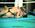 Black Orchid-Tracy01.jpg