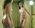 Jocelyn-Misty01.jpg