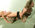 Karine-Wendy11.jpg