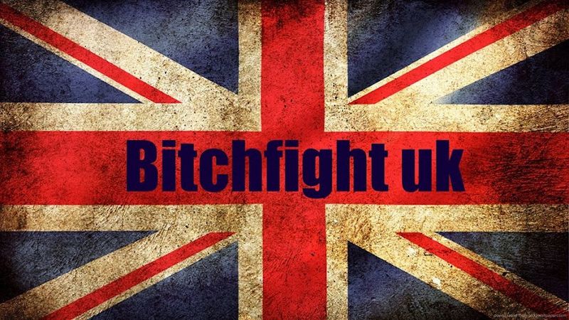 File:Bitchfight logo.jpg