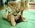 APL86 Tina-Robin02.jpg